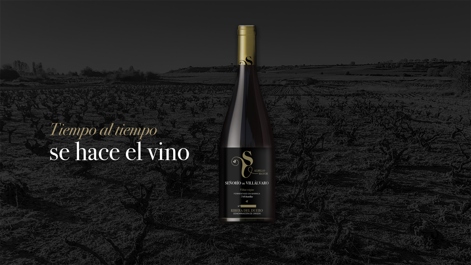 Tiempo al tiempo se hace el vino Tiempo al tiempo se hace el vino