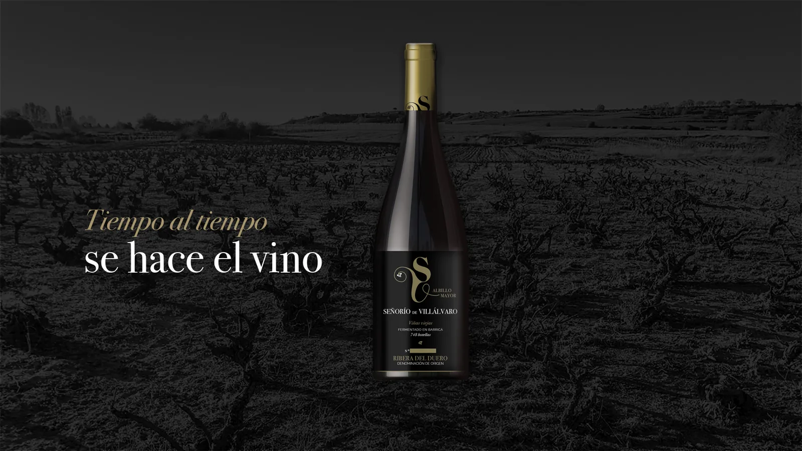 Tiempo al tiempo se hace el vino Tiempo al tiempo se hace el vino